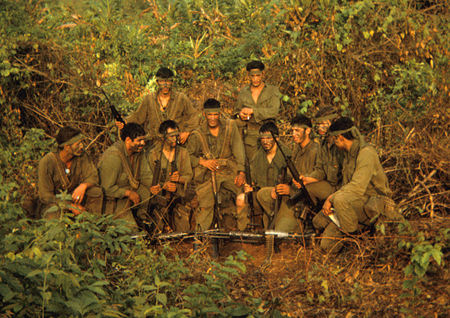 V5 Company on operations, 1971