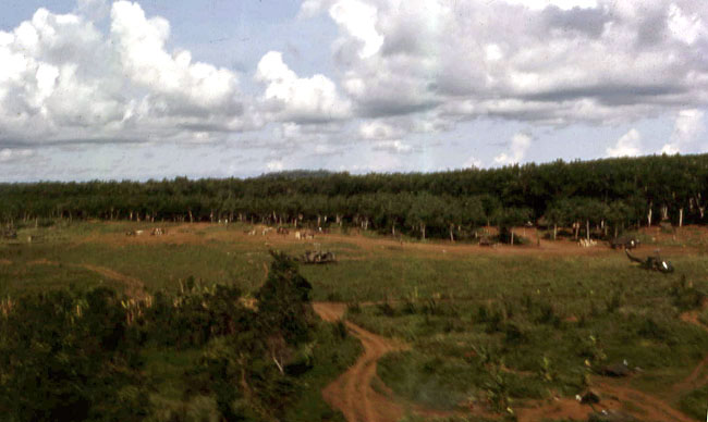 Aerial view of helicopters flying