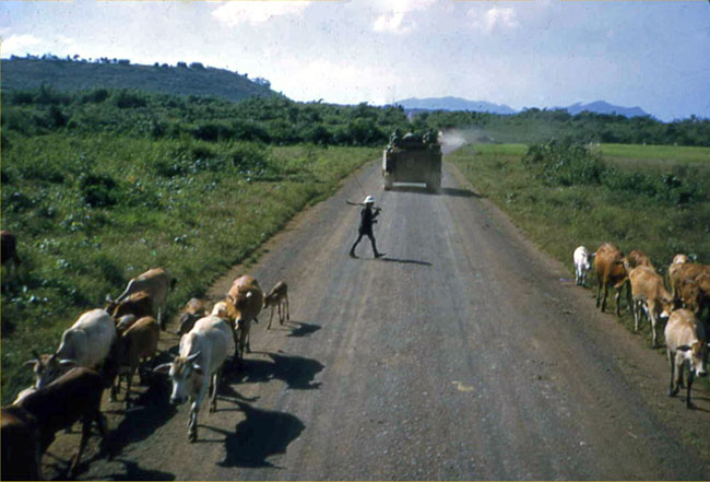 APCs move along road in Vietnam, circa 1966 APCs move along road in Vietnam, circa 1966