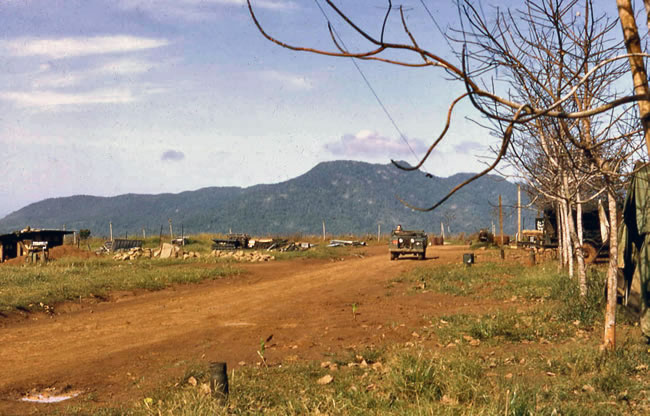 Bare rubber plantation at Nui Dat