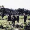 Soldiers from 3 Platoon, W3 Company on patrol