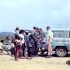 People gathered watching wire traps being loaded into the back of a Red Cross vehicle