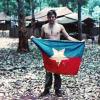 Captured North Vietnamese flag, 1971