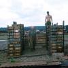 W3 Company soldiers building bunker at FSB Le Loi, circa 1970