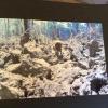B52 bomb crater