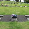 Grave of Sergeant Peter C. Glendinning 889059