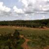 Aerial view of helicopters flying