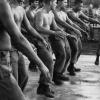 New Zealand troops perform a haka in Vietnam