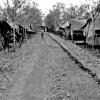 161 Battery tent lines at Nui Dat, May 1968