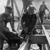 NEWZAD engineers working on bridge in South Vietnam, circa 1964