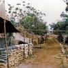 161 Battery tent lines at Nui Dat, circa 1968-1969