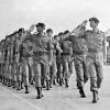 Victor 6 Company prior to their departure from Vietnam, December 1971