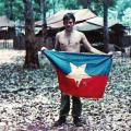 Captured North Vietnamese flag, 1971