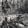 Bruce Isbister takes a drink while on patrol, circa 1968-69