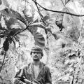 Soldier wearing uniform in jungle holding gun.