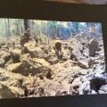 B52 bomb crater