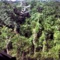 SAS troopers are winched up from the jungle