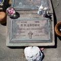 Rawhiti Brown's grave, 2009