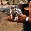 New Zealand soldier holding a cat
