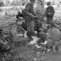Soldiers from Victor 4 Company examine enemy documents, 1969