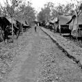 161 Battery tent lines at Nui Dat, May 1968