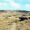 View down to 161 Battery's guns at the Horseshoe base