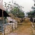 161 Battery tent lines at Nui Dat, circa 1968-1969