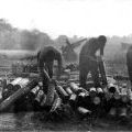 Gunners clean up after heavy fire mission in Vietnam, circa 1966-1967